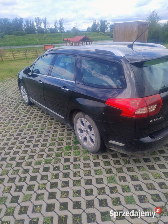 Sprzedam Citroen C5 kombi 16hdi 2008 Malbork sprzedam