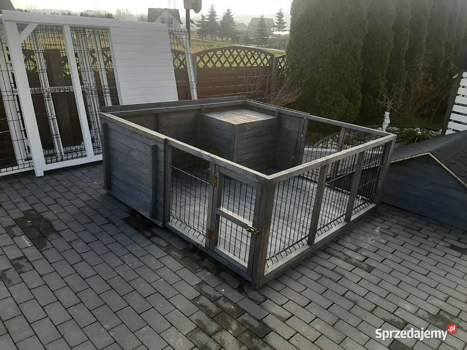 Kojec psa z budą Jordanów