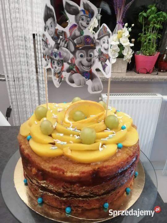 Torty Domowe Owocowe bezglutenowe i bezmleczne dolnośląskie Wrocław