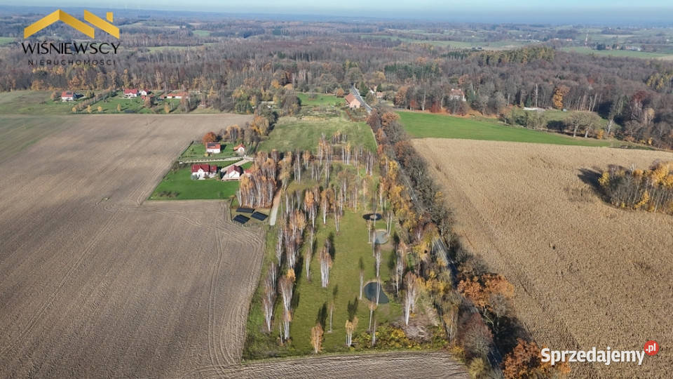 Dawidy duża działka 05306 ha WZ