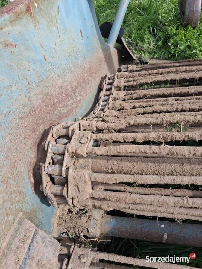Kopaczka elewatorowa do ziemniaków nieuszkodzony Puńsk