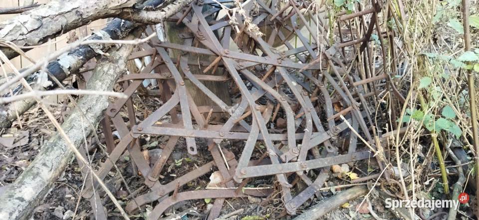 brony polowe 10 sztuk Brony mazowieckie Płock