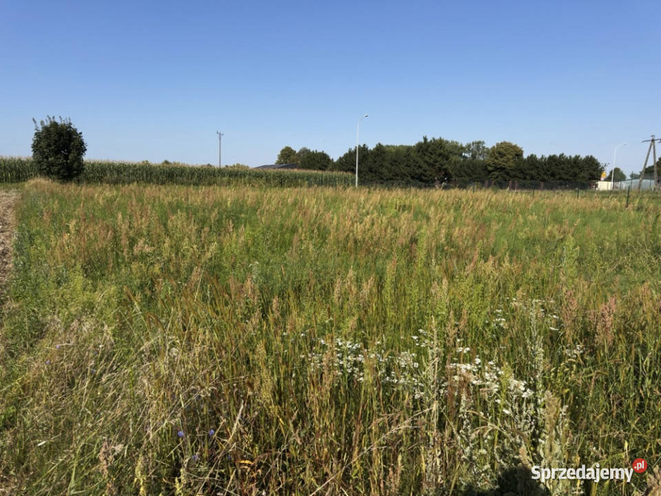 Działka 10 Arów Gręboszyce sprzedam