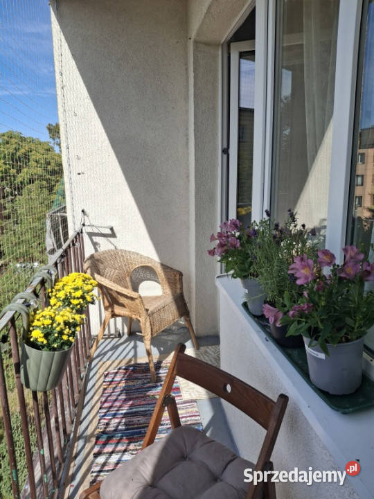 Ciche centrum Brwinowa 2 przestronne pokoje Brwinów