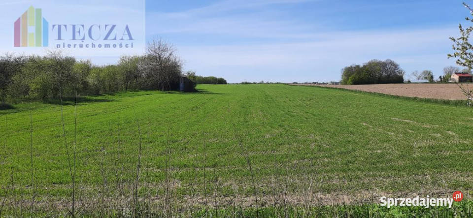 Działka Długa Kościelna 9429m2 209m