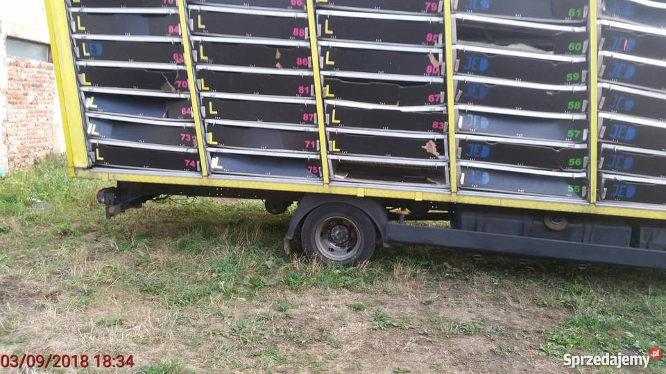 MAN kabina do transportu gołębi tempomat Specjalne Kamienna Góra