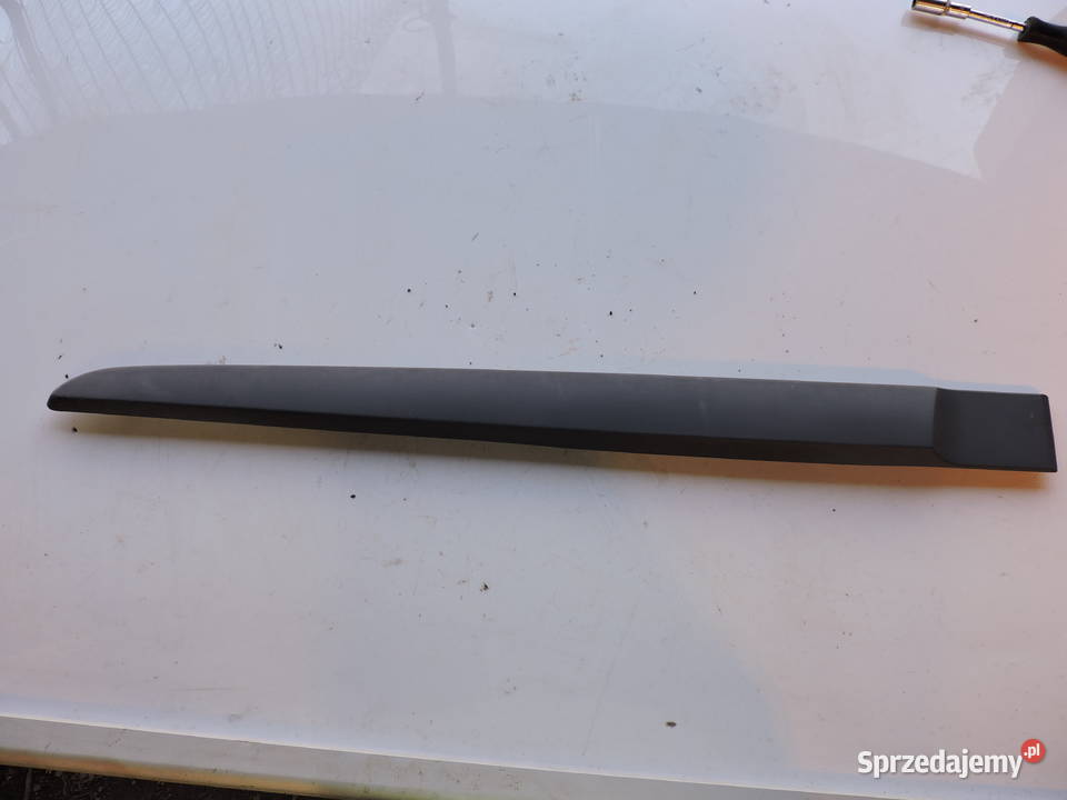 Lista drzwi lewy tył Renault Grand Scenic II 16