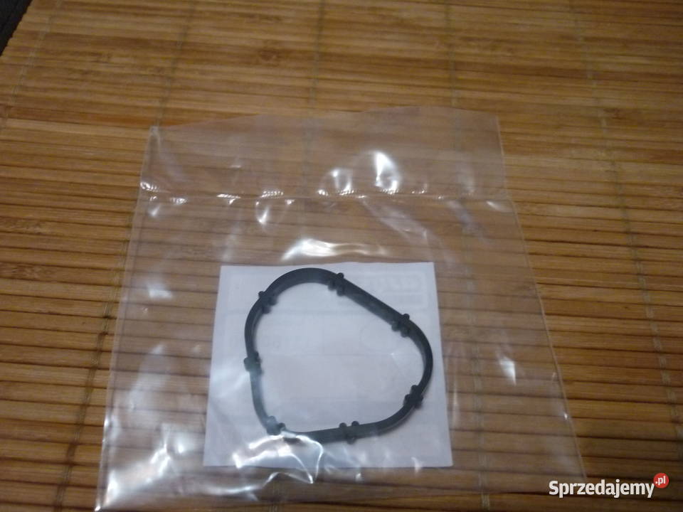 Uszczelki kolektora ssącego 4 Renault Dacia łódzkie Łódź