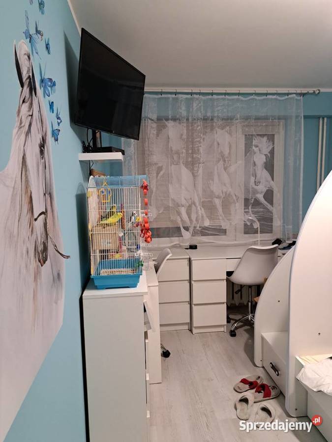 Sprzedam mieszkanie 3pokojowe na osiedlu Rządz 5695zł/m2 Grudziądz