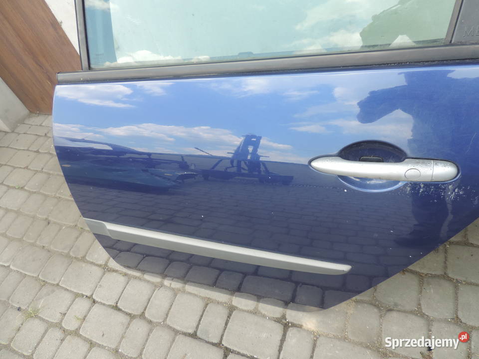DRZWI LEWY TYŁ RENAULT SCENIC 2 LAKIER TEF43 Nowy Sącz
