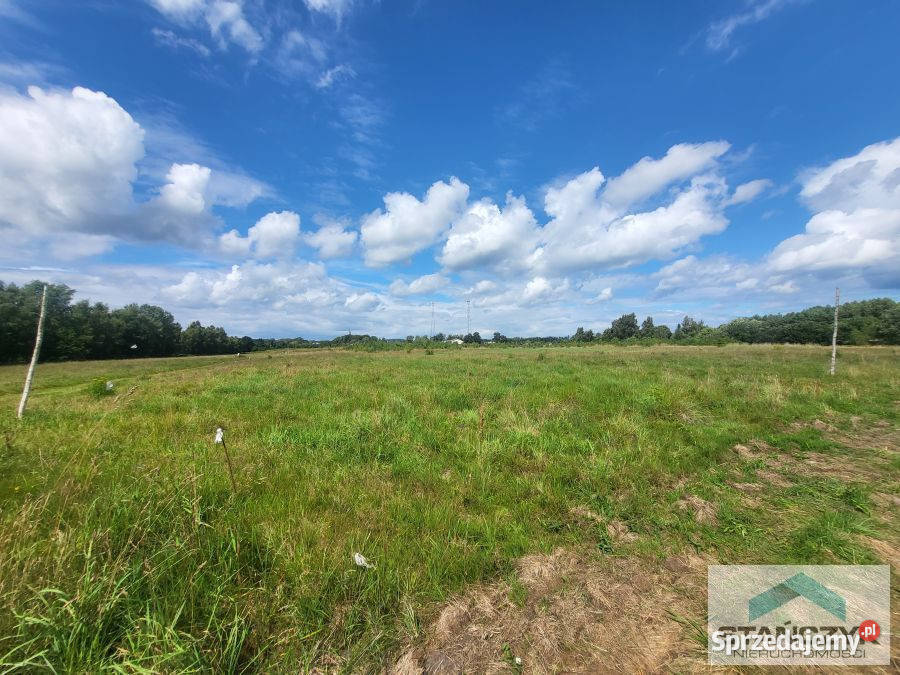 sprzedaży gruntu Kołczewo 1000m2 sprzedam