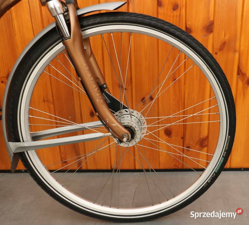 Rower damski Batavus Mambo D 61 I inne rowery mazowieckie