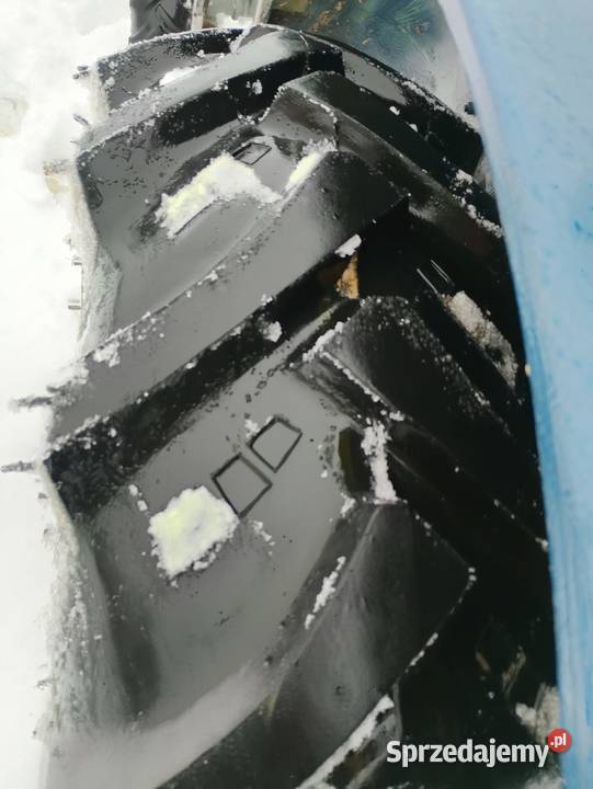 URSUS C360 3p sadowniczy do orzechów Izdebno-Kolonia