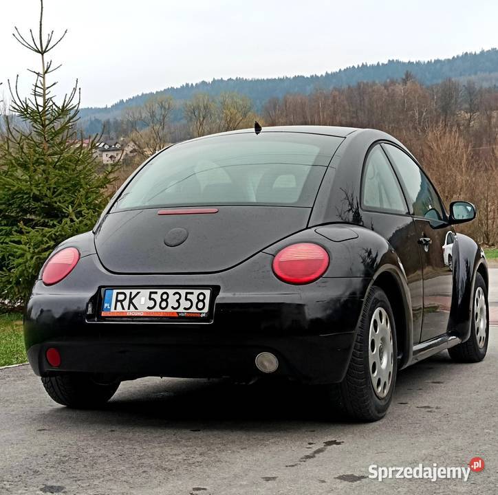 Volkswagen Beetle Sunflower Domaradz