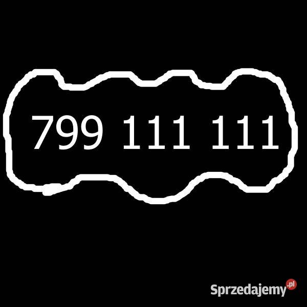 Złoty numer platynowy małopolskie