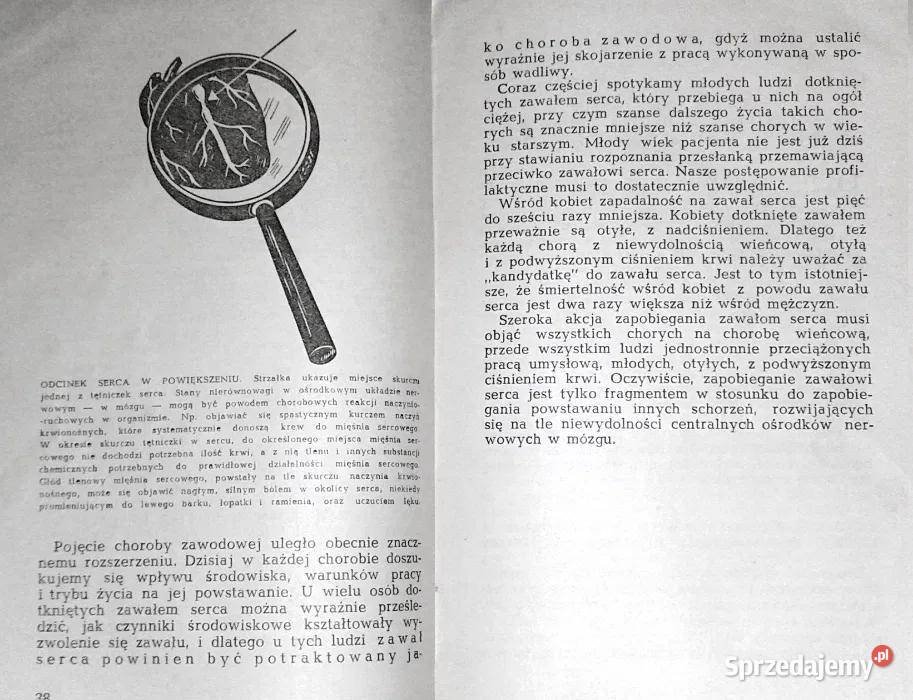 Ucz się odpoczywać Arwid Hansen miękka Pozostałe Chełm