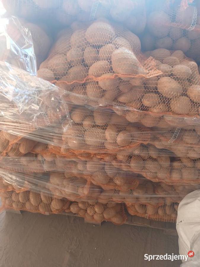 Sprzedam ziemniaki