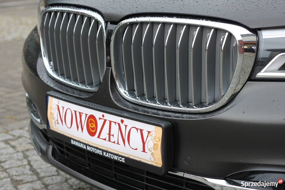 Dj Wester PrezenterWodzirej Ząbkowice Śląskie