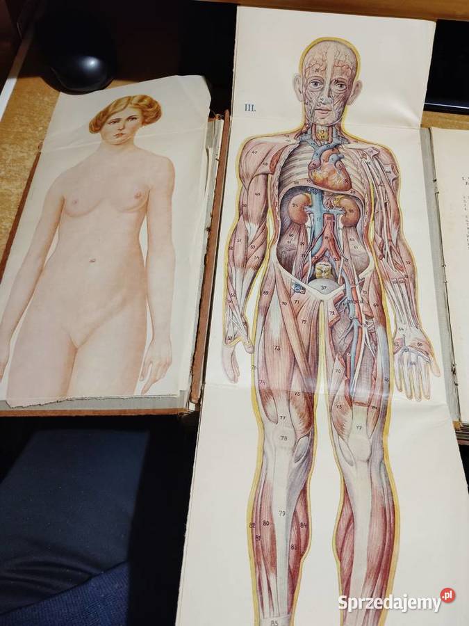 Nowe lecznictwo przyrodneKsiążka do nauczania i Antykwariat wielkopolskie Iwno