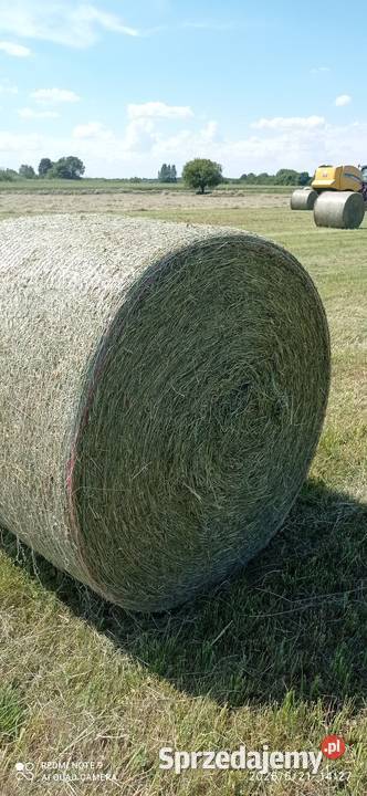 Siano Trzeszkowice sprzedam