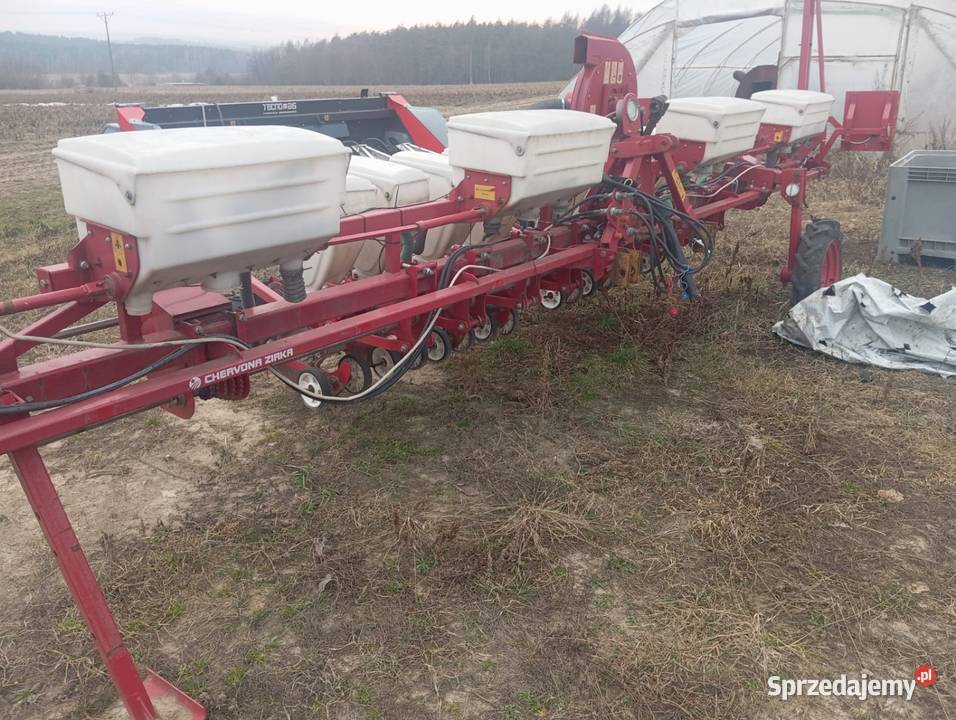 Siewnik 8 rzędowy do kukurydzy i innych Majdan Ostrowski sprzedam