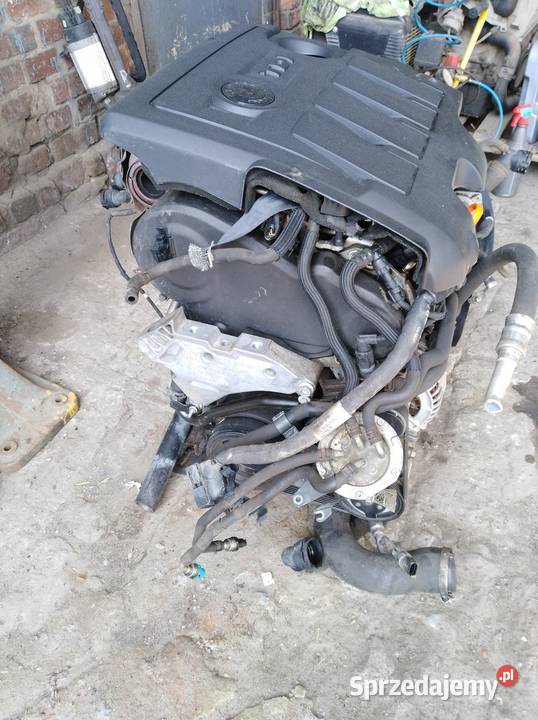 Silnik 16 tdi CAY CAYC kompletny ze skrzynią Pakosław