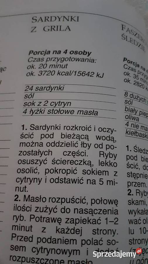 Grill fartuch Szczecin sprzedam