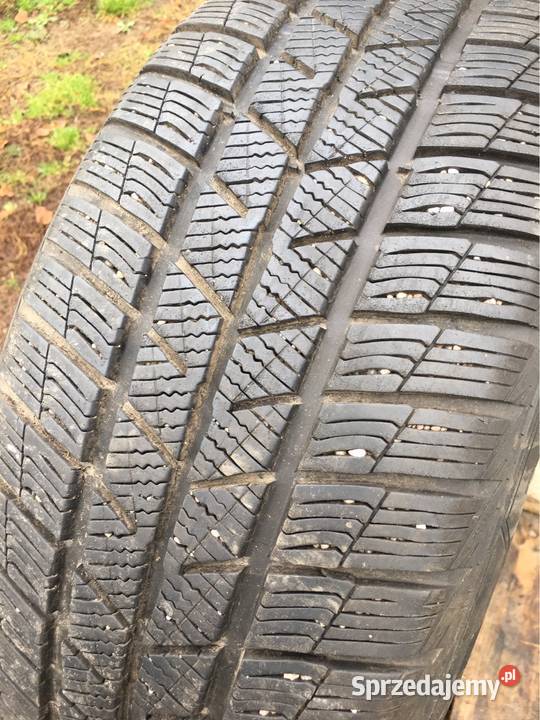 barum polaris 5 2255017 XL Chojnice