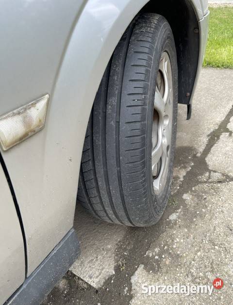 Opel Signum 19 diesel Olszyna