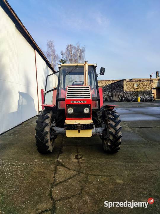 URSUS 904 wielkopolskie Brzezie