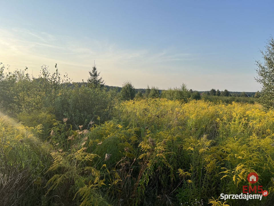 Sprzedam działka 4400m Morze podlaskie