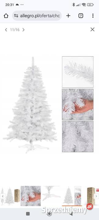 Sprzedam choinkę biała wysokość 240 Pozostałe Strzegom