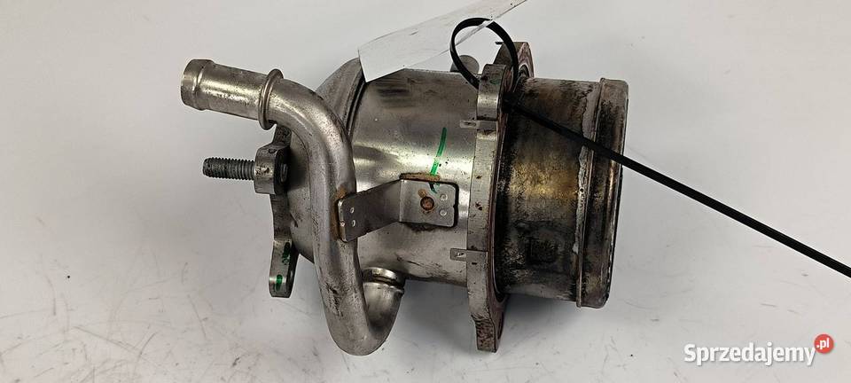 CHŁODNICA EGR RENAULT TRAFIC III Lipno