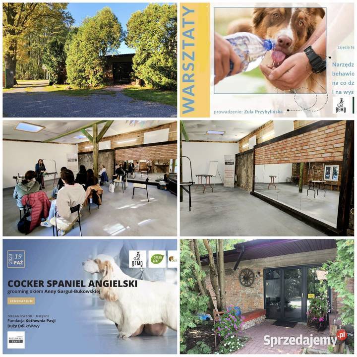 Szkolenie GROOMERÓW pod Wwą mazowieckie Duży Dół sprzedam