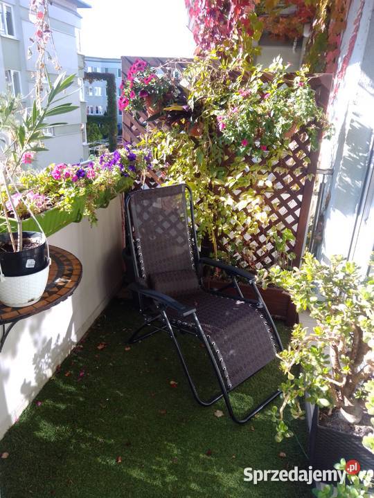 Bezpośrednio 3 pokoje 80 m planowanym parku Liczba pokoi 3 Warszawa