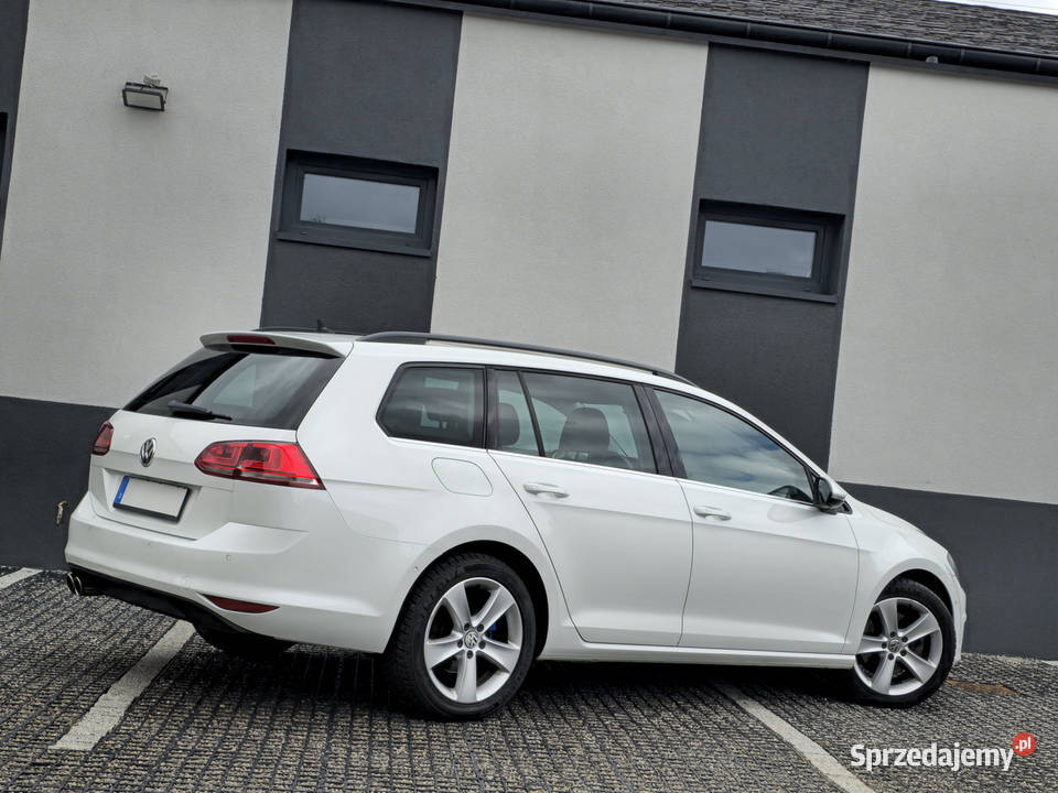 SkóraPanoramaBezwypadkowy Myszków