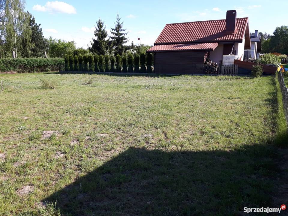 Sprzedam działkę ROD Biedrusko k Poznania rekreacyjna wielkopolskie Biedrusko