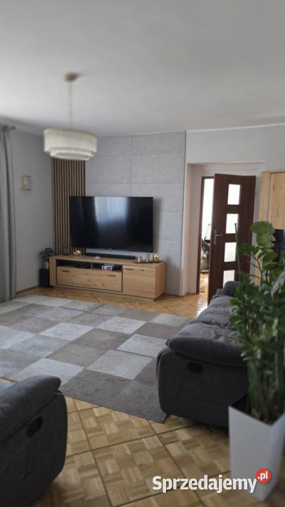 Dom dwulokalowy z dwoma lokalami usługowymi Poznań