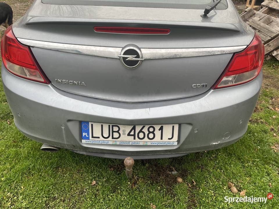 Opel Insignia 20 TDI 160 Niedrzwica Kościelna