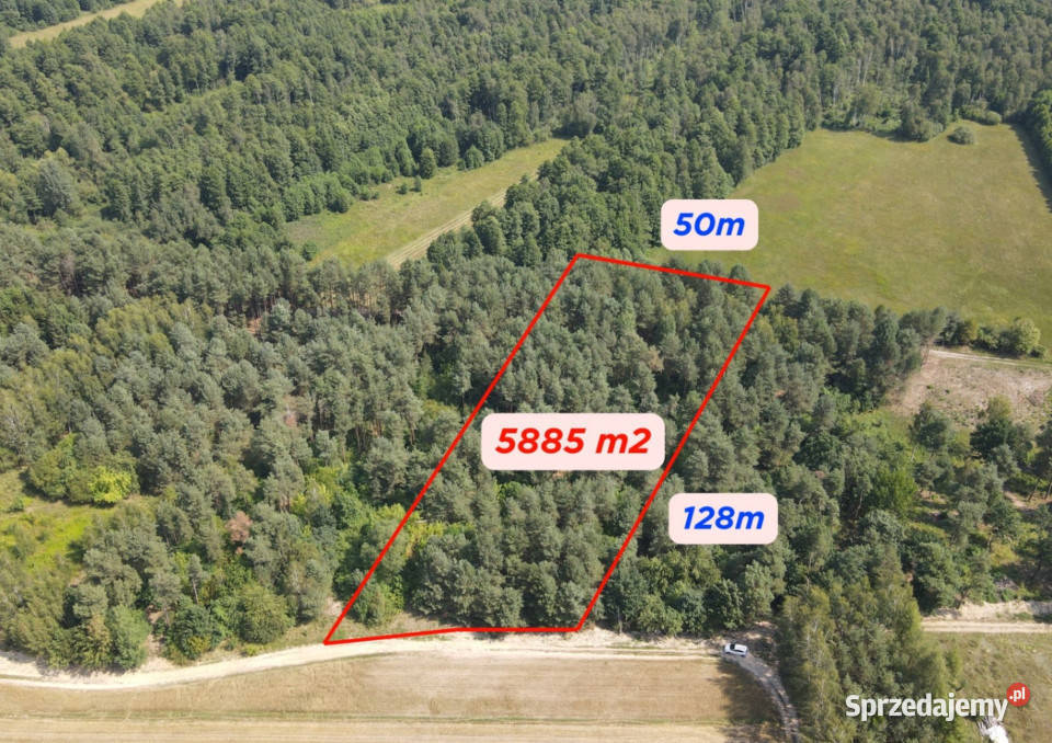 Dziecinów działka rolna 5 885 m