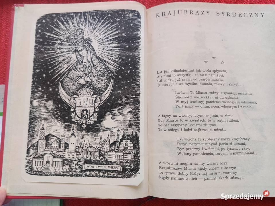 Książka Krajobrazy Syrdeczny Myszków