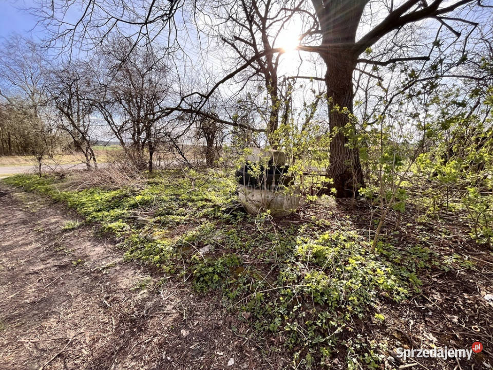 Działka 025 ha z mediamicisza zieleń potencjał lubelskie Horyszów-Stara Kolonia sprzedam