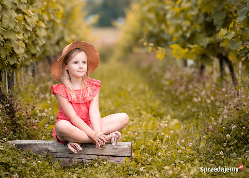 Sesje zdjęciowe Wrocław