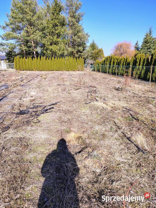 Działka ogrody działkowe rafałówka Sprzedaż