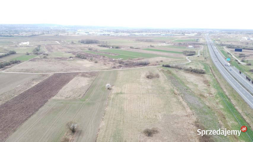 sprzedaży gruntu 5502m2 Krzeczów 56zł/m2 sprzedam