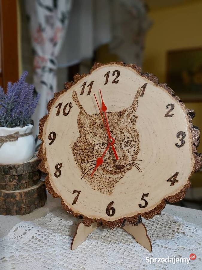 Zegary na plastrze Brzoza dąb podkarpackie