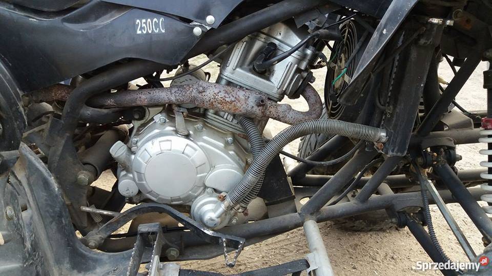 Eagle Motorsports Lyda 203E kujawsko-pomorskie Lipno sprzedam