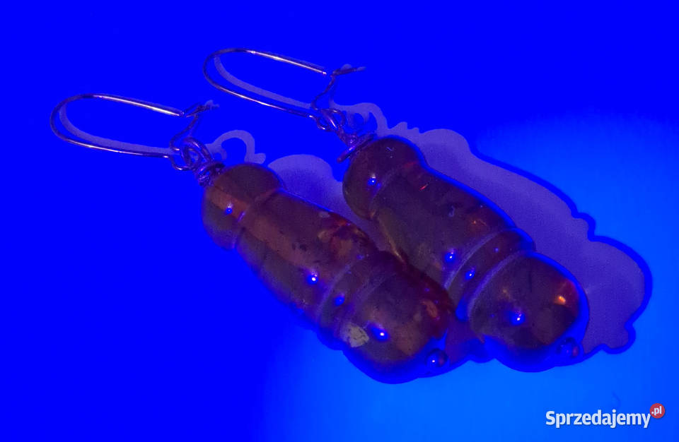 Kolczyki z BURSZTYNU bursztyn bałtycki koniak mazowieckie Warszawa sprzedam