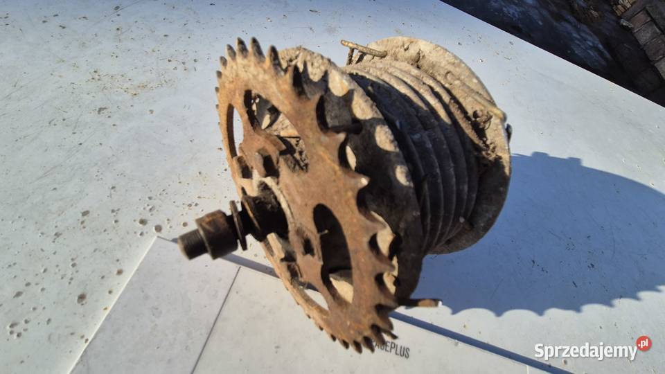 Komar piasta Hryniewicze sprzedam