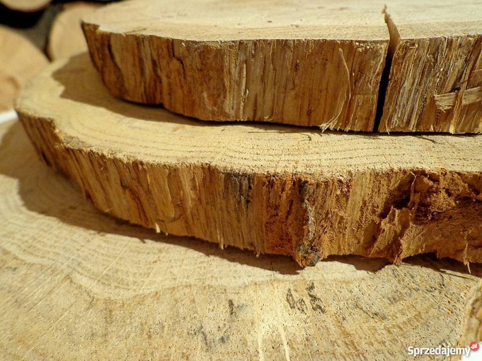 Plaster krążki drewna bez kory Dąb 1519 flek Dekoracje i ozdoby Rybnik